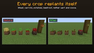 2_every_crop.png