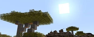 Sunlight-Gallery-14.jpg