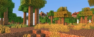 Sunlight-Gallery-15.jpg