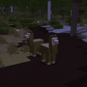 Sunlight-GIF-01-Llamas-under1MiB.gif