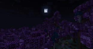 Pretty Moon