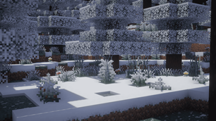 close up of a snowy taiga