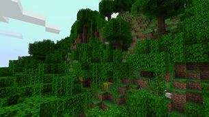 Jungles