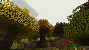 New biome