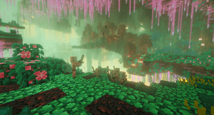 The Nether