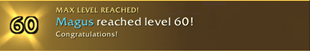 max level