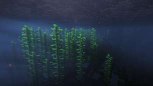 Underwater