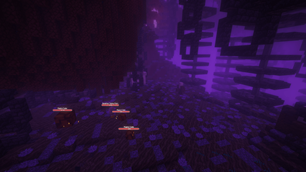 Nether