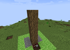 "brinetreealpha"