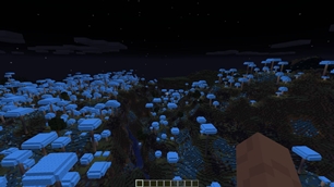 Shrooms.jpg