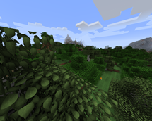 Resourcepack
