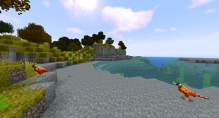 Pheasants at the shore