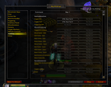 AethysRotation Key Bindings