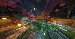 Cherry Blossom Garden at Night