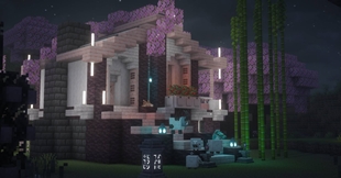 A house with friends?