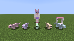 New friends