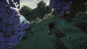 View10.jpg