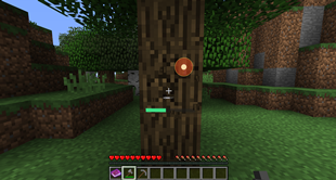 Chopping wood