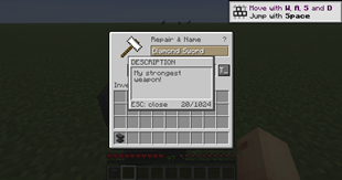 Adding an Item Description