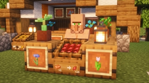 Custom Clerk NPCs & Villager Professions