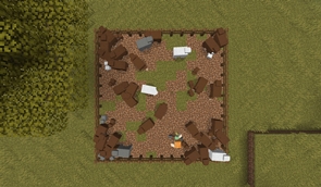 Feed Sheep