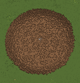 2026-09-26_12.29.51.png