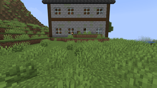 salvatore_house.png