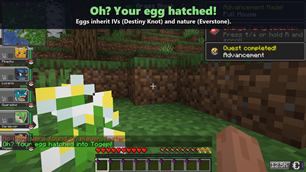 4_hatch.png