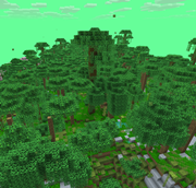 Lush Rainforest