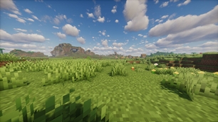 Meadow