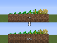 Wheat stages
