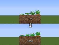 Carrot stages