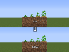 Potato stages