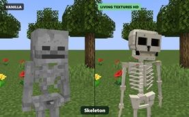 compare_skeleton_1600.jpg