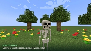 gallery_skeleton.jpg
