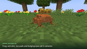 gallery_frog.jpg