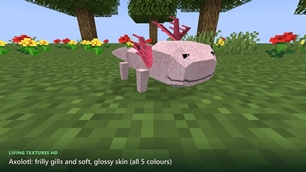 gallery_axolotl.jpg