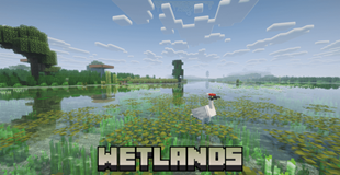 A crane stands in the shallow water of a marsh.