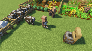 Butcher leading a cow