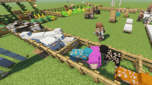 Shepherd shearing sheep