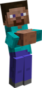 steve.png