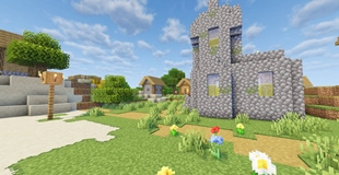 Village