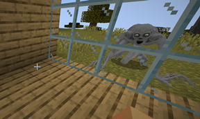 the rake window