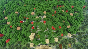 Village!
