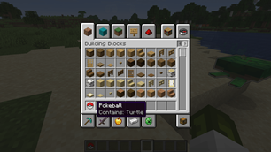 Pokeball Item