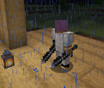 Dual-wielding swords