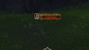 05-toast-found.png