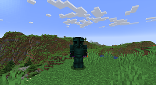 Enderite armor