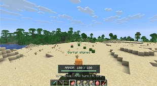Screen 2.jpg