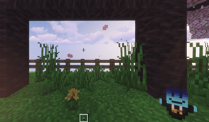 2026-09-28_15.59.56_edited.png